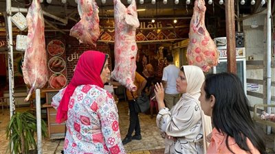 محافظ الإسكندرية يشدد على تكثيف الحملات المُكبرة لمنع إقامة الشوادر والذبح بالشوارع