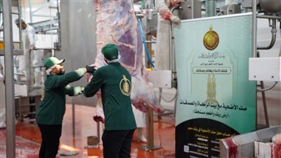  «بيت الزكاة والصدقات» يبدأ ذبح أضاحي العيد ويوزعها على المستحقين في المحافظات