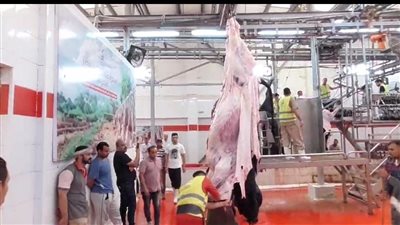 الدقهلية تفتتح مجزر ميت الكرما بعد تطويره بتكلفة 20 مليون.. غدًا