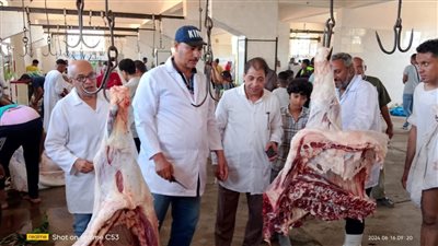 مجازر الأقصر تستقبل الأضاحي للذبح مجانًا