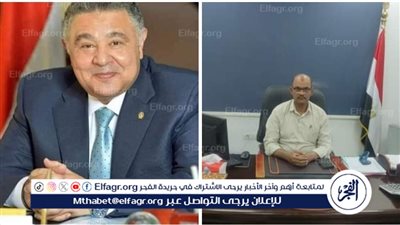 البحر الأحمر تطرح خراف حية بسعر 220 جنيها للكيلو ولحوم بلدية بـ 335 وترفع استعدادات العيد للقصوى 