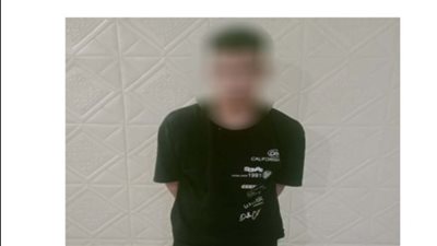 كشف ملابسات تداول مقطع فيديو لعاطل بالقاهرة يعتدي بسلاح أبيض على كلب