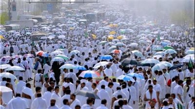 الإحصاء: أعداد الحجاج لموسم حج 1445هـ بلغ 1.833.164 حاجا وحاجة