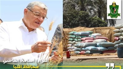 محافظ المنيا: شون وصوامع المحافظة تواصل استقبال القمح وتوريد 404 آلاف طن 