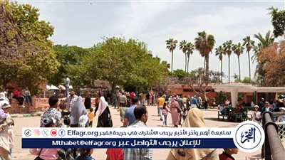 حديقة حيوان الإسكندرية: استقبلنا 14 ألف زائر بأول وثاني أيام العيد (فيديو)