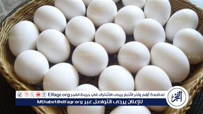  استقرار أسعار البيض في الأسواق المصرية اليوم