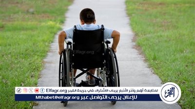 كيف كفل القانون الجديد الحق في الإعداد المهني والتدريب للأشخاص ذوي الإعاقة؟