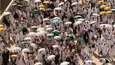 كيف تحرك مجلس الوزراء بشأن أزمة الحجاج المتوفين؟