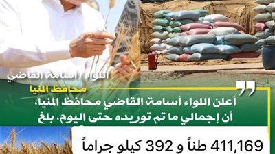 شون وصوامع المنيا تستقبل 411 ألف طن من محصول القمح لموسم حصاد 2024