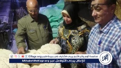 حملات رقابة الأسواق تحرر 287 محضرا بمخالفات في 16مركز بالدقهلية والمحافظ يحيلها للنيابة 