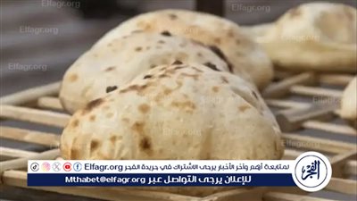 إحالة دعوى إلغاء رفع سعر رغيف العيش لهيئة المفوضين والتأجيل لـ 3 أغسطس