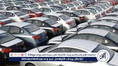 المالية: عودة خدمات الدعم الفنى بالتطبيق الإلكتروني لمبادرة سيارات المصريين بالخارج