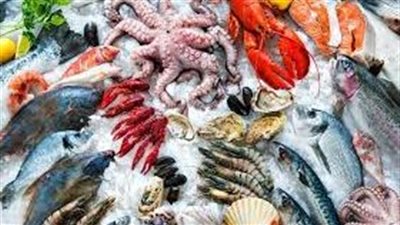 تعرف على أهمية وفوائد تناول الأسماك 