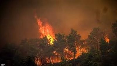 حرائق غابات وموجة حر شديدة.. آخر تطورات الأوضاع في اليونان