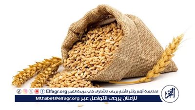 عاجل - ما حكم بيع القمح في السوق السوداء لاستخدامه بدلًا من العلف الحيواني؟.. 