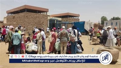 قصور الثقافة بأسوان تشارك مكتبة الإسكندرية في احتفالية 