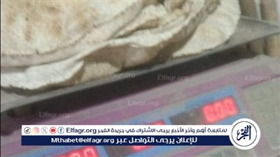 المرور على 560 مخبز في حملات تموينية بالدقهلية 
