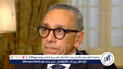 سفير مصر بلبنان: وجودنا في مطار بيروت رسالة دعم وليس للتفتيش (فيديو)