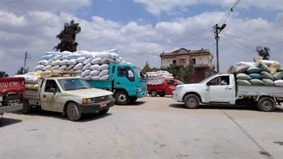 انتظام سير العمل بمنظومة توريد القمح لشون وصوامع محافظة الشرقية