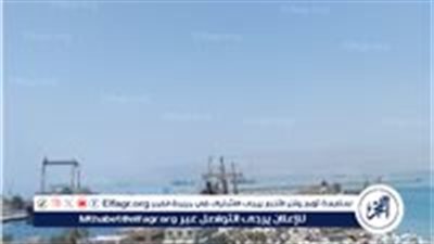 تداول 28 ألف طن بضائع بموانئ البحر الأحمر وتصدير 22 ألف طن فوسفات بسفاجا للهند