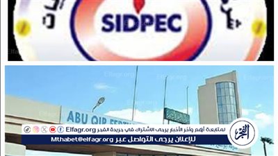 غلق سيدي كرير وأبو قير.. أزمة نقص الغاز تُعيق الإنتاج في كبريات شركات البتروكيماويات والأسمدة (تفاصيل)