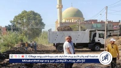 رفع 600 طن مخلفات صلبة وقمامة واتربة من قرية بالدقهلية والتخلص الآمن منها 
