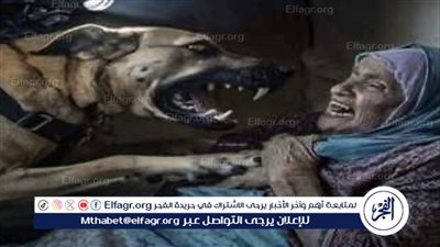 وحشية الاحتلال الإسرائيلي: كلب بوليسي يهاجم سيدة مسنة في غزة