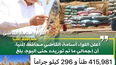 شون وصوامع المنيا تستقبل توريد 416 ألف طن قمح