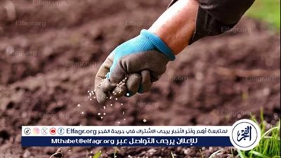 عاجل| الزراعة توجه رسالة مهمة للفلاحين بشأن الأسمدة