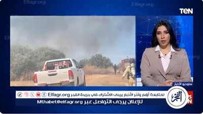 أستاذ علاقات دولية: حزب الله أقوى من حماس.. وإسرائيل تعرف كلفة الحرب مع لبنان (فيديو)