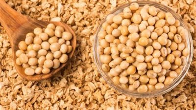 مبيعات فول الصويا الأمريكية تسجل 282 ألف طن
