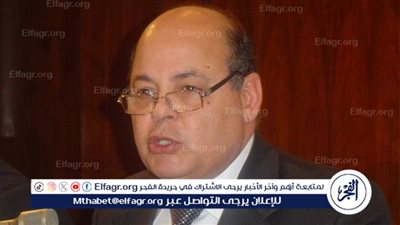 وزير الثقافة الأسبق يكشف كواليس قرار الحكومة بشأن فض اعتصام رابعة(فيديو)