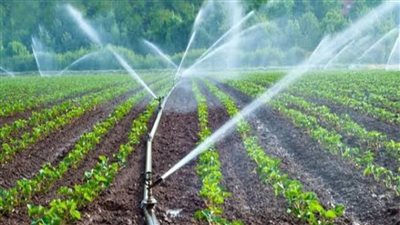 التحول للري الحديث.. كيف نهضت الدولة بقطاع الموارد المائية والري بعد ثورة 30 يونيو؟
