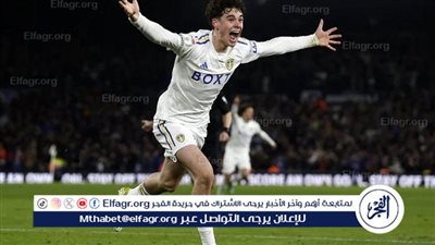 تشيلسي وتوتنهام يتنافسان على جراي