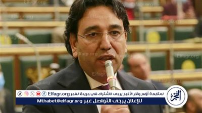 برلماني: لو لم تكن 30 يونيو لكانت الحضارة المصرية طمست