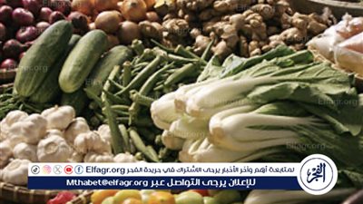 أسعار الخضراوات والفاكهة اليوم في سوق العبور