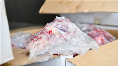 محافظ قنا يشهد استلام لحوم صكوك الأضاحي تمهيدا لتوزيعها على المستحقين