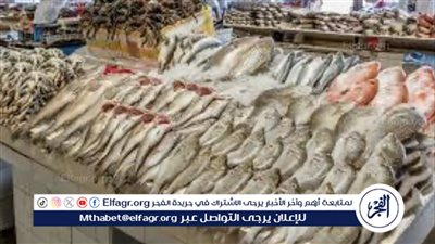 أسعار السمك اليوم الثلاثاء 23-7-2024 في محافظة الدقهلية
