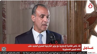 وزير الخارجية يكشف رسالة الرئيس السيسي لنظيره الرواندي 