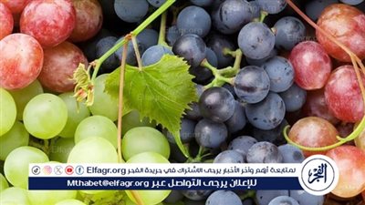 عصير العنب: مشروب صحي ومنعش يمتدحه الجميع