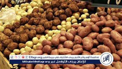 عاجل- الزراعة تنتهي من فحص أكثر من 320 ألف طن من تقاوي البطاطس استعدادًا للعروة الشتوية التصديرية لموسم 2025/2026