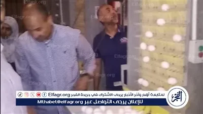 سكرتير بني سويف يتفقد سير ومنظومة العمل بمشروعات الدواجن