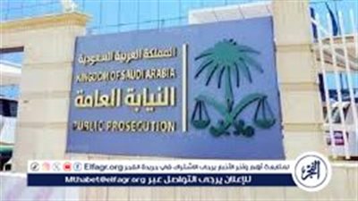 النيابة العامة: الحكم على تشكيل عصابي من 8 وافدين بالسجن والغرامة والإبعاد 