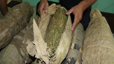 قضايا مخدرات وأسلحة نارية.. ضبط 49 متهما خلال حملات أمنية بالفيوم والجيزة