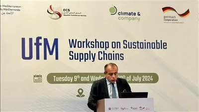 عاجل| يحيي الواثق بالله يطالب الاتحاد الأوروبي بتقديم الدعم للصادرات المصرية لتطبيق الية تعديل حدود الكربون 