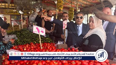 تفاصيل جولة محافظ الدقهلية بالمنصورة وجمصه وبلقاس للتأكد من توفير رغيف العيش وضبط الأسعار 