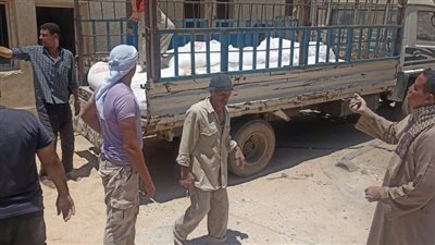 تموين أسيوط يحرر 264 مخالفة خلال حملات مفاجئة على بعض المراكز والأحياء