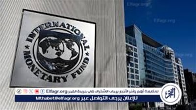اقتصادي: صندوق النقد لم يُعلن سبب تأجيل صرف الشريحة الثالثة للقرض