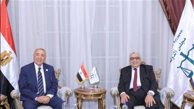 لهذا السبب.. رئيس مجلس الدولة يلتقي رئيس المحكمة الدستورية العليا 