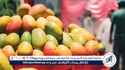 أسعار المانجو اليوم الجمعة 16-8-2024 في الدقهلية 